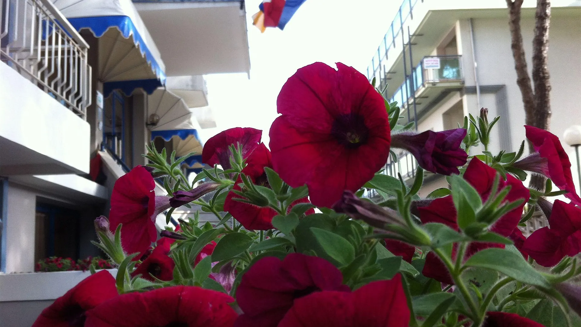 Hotel Umberto