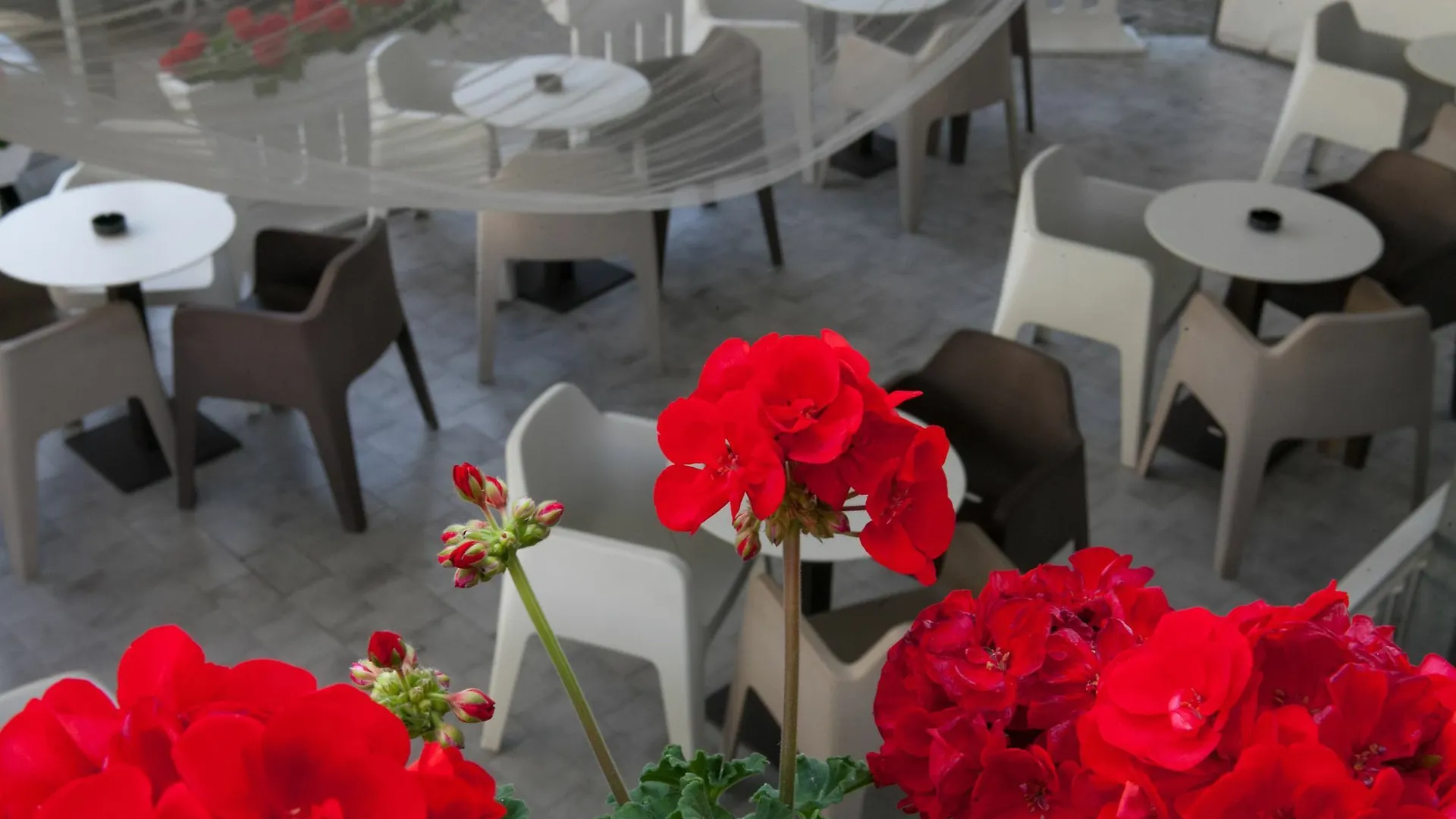 Hotel Umberto Italy